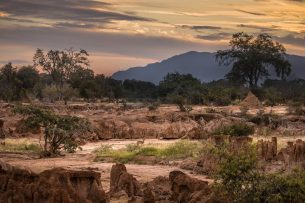 Auf Entdeckungstour durch Namibia