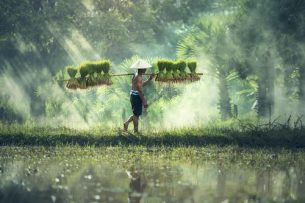 Geld für den Urlaub effektiv sparen